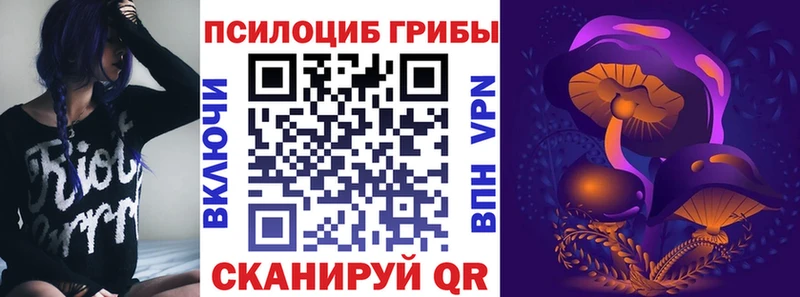 Псилоцибиновые грибы ЛСД  где можно купить   KRAKEN ССЫЛКА  Кондрово 